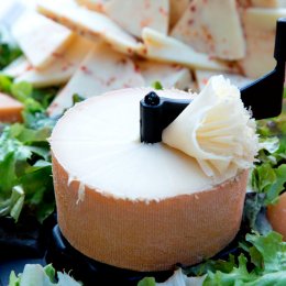 Cucina Bio & Vegan